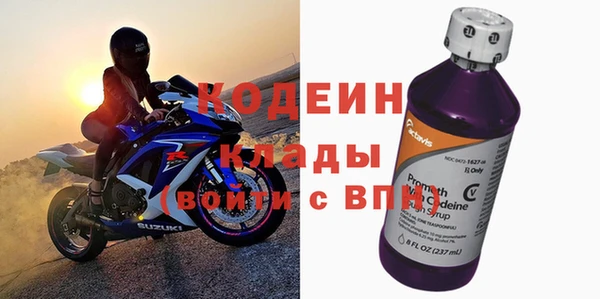 крисы Верхний Тагил