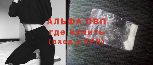 сатива Бронницы
