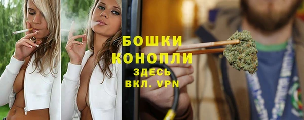 сатива Бронницы