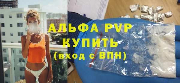 сатива Бронницы