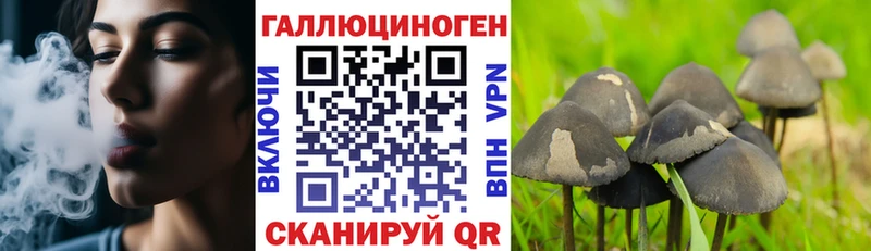 купить наркотик  Волгореченск  Галлюциногенные грибы прущие грибы 